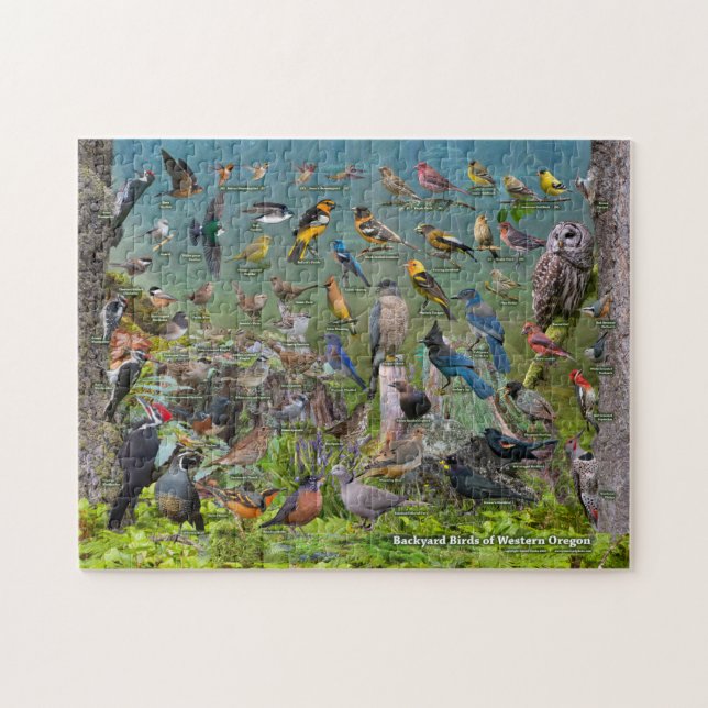 Backyard Birds of Western Oregon Jigsaw Puzzle (Horizontal)