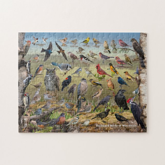 Backyard Birds of Wisconsin Jigsaw Puzzle (Horizontal)