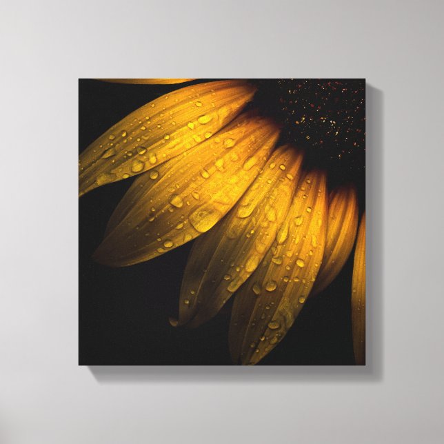 Backyard Flowers 28 Sunflower Canvas Print (Front)