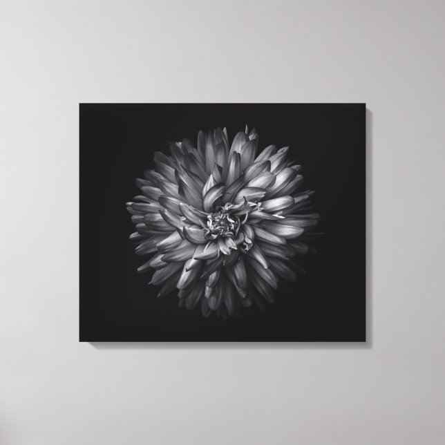 Backyard Flowers In Black And White 20 Canvas Print (Front)