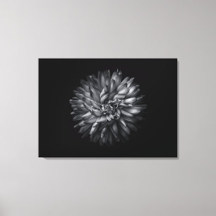 Backyard Flowers In Black And White 20 Canvas Print