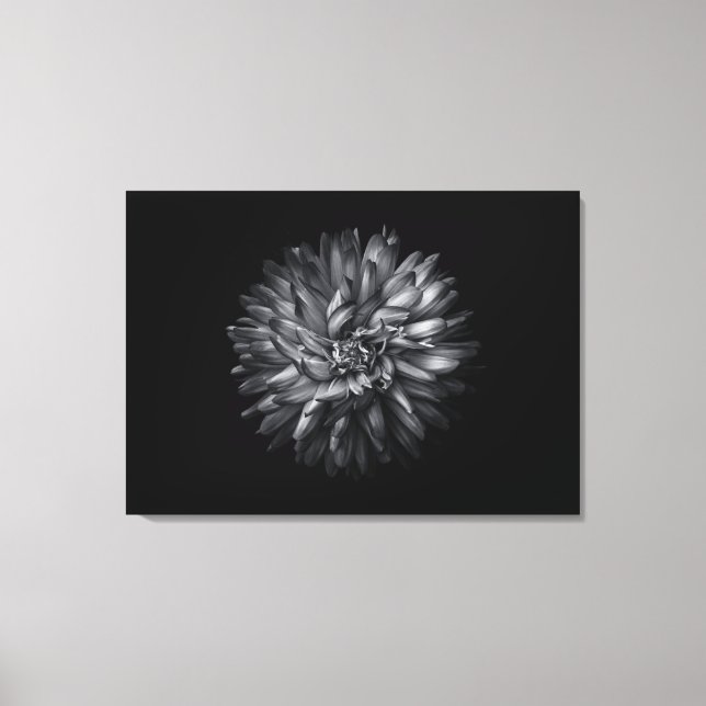 Backyard Flowers In Black And White 20 Canvas Print (Front)