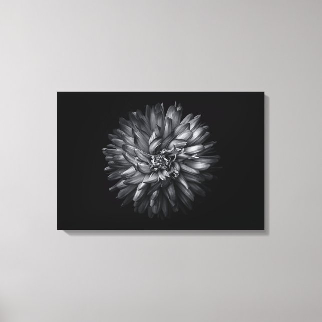 Backyard Flowers In Black And White 20 Canvas Print (Front)