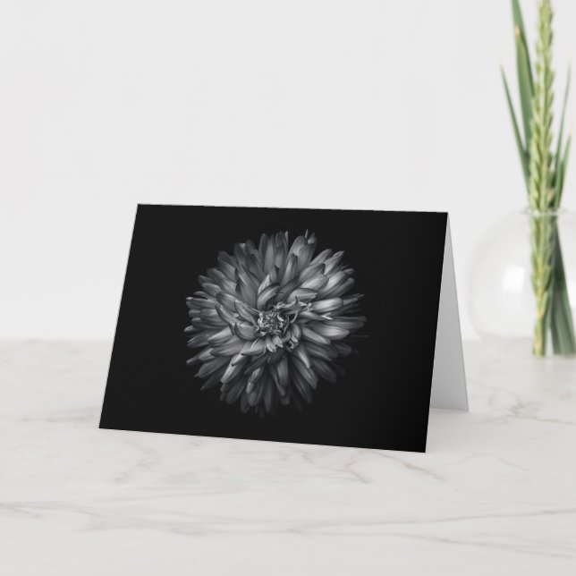 Backyard Flowers In Black And White 20 Card (Front)
