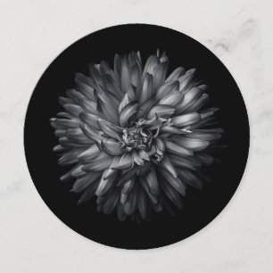 Backyard Flowers In Black And White 20 Menu