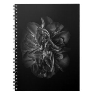 Backyard Flowers In Black And White 67 Notebook