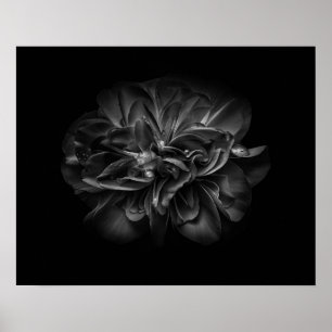 Backyard Flowers In Black And White 67 Poster