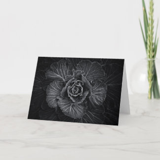 Backyard Flowers In Black And White No 108 Card