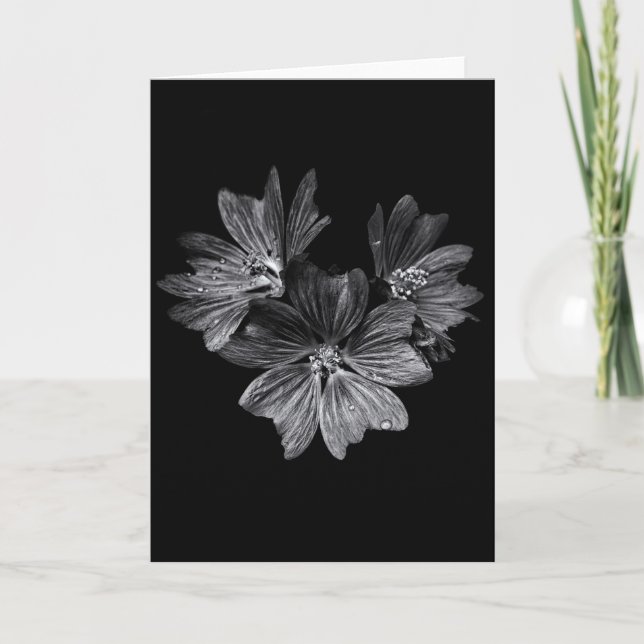 Backyard Flowers In Black And White No 11 Card (Front)