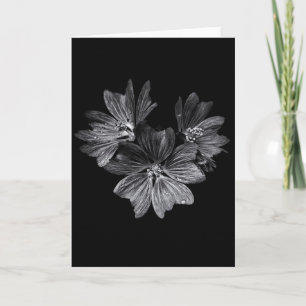 Backyard Flowers In Black And White No 11 Card