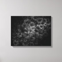 Backyard Flowers In Black And White No 29