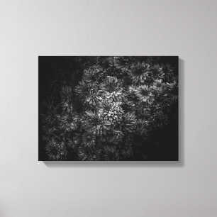 Backyard Flowers In Black And White No 29 Canvas Print
