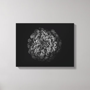 Backyard Flowers In Black And White No 54 Canvas Print