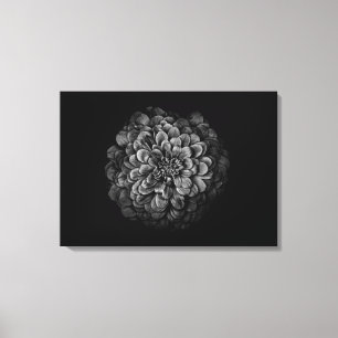 Backyard Flowers In Black And White No 54 Canvas Print