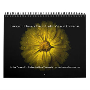 Backyard Flowers No 10 Colour Version Calendar
