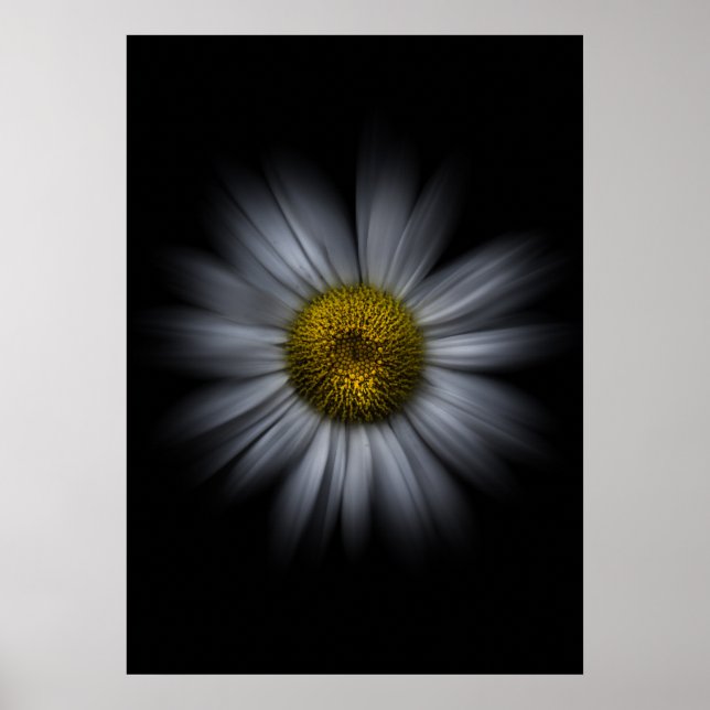 Backyard Flowers No 13 Colour Flow Version Poster (Front)
