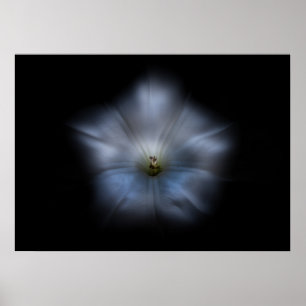 Backyard Flowers No 24 Colour Flow Version Poster