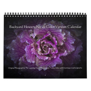 Backyard Flowers No 42 Color Version Calendar