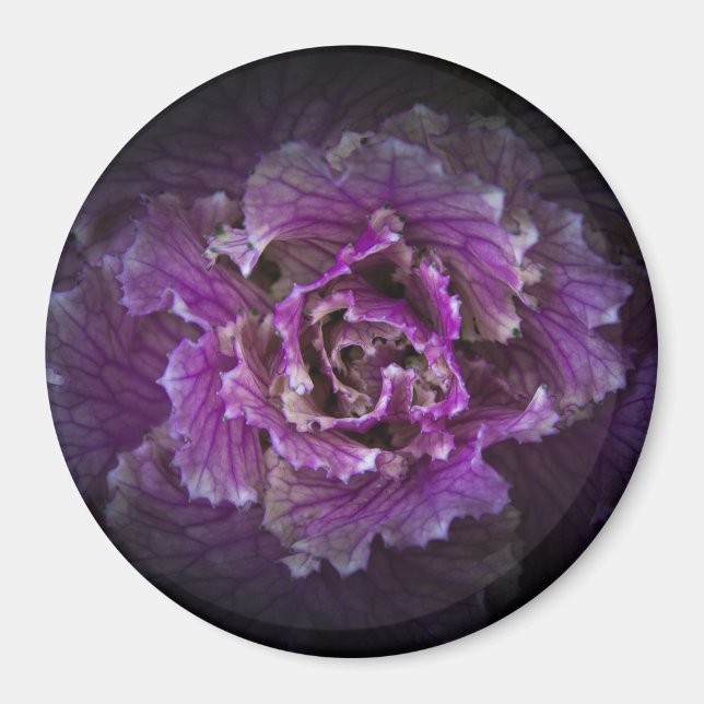 Backyard Flowers No 42 Colour Version Magnet (Front)