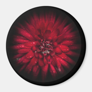 Backyard Flowers No 45 Colour Flow Version Magnet