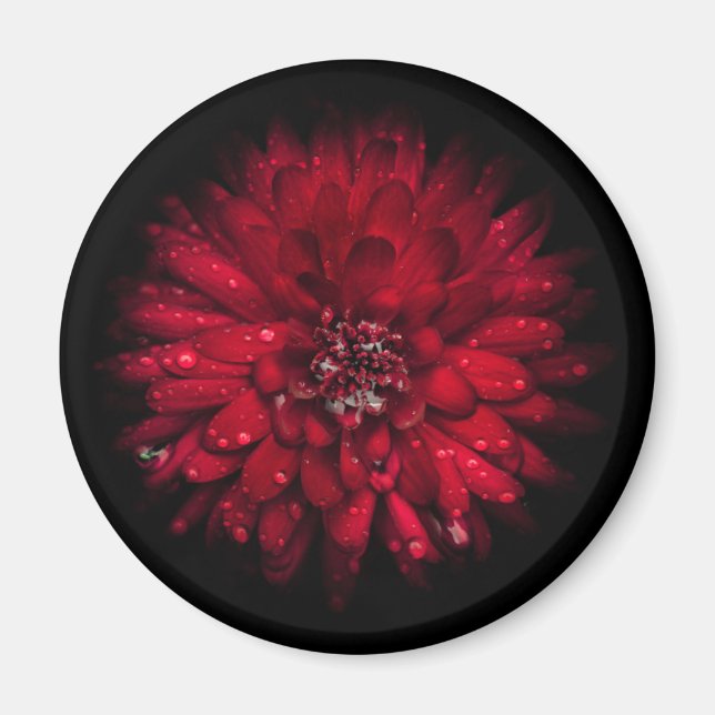 Backyard Flowers No 45 Colour Version Magnet (Front)