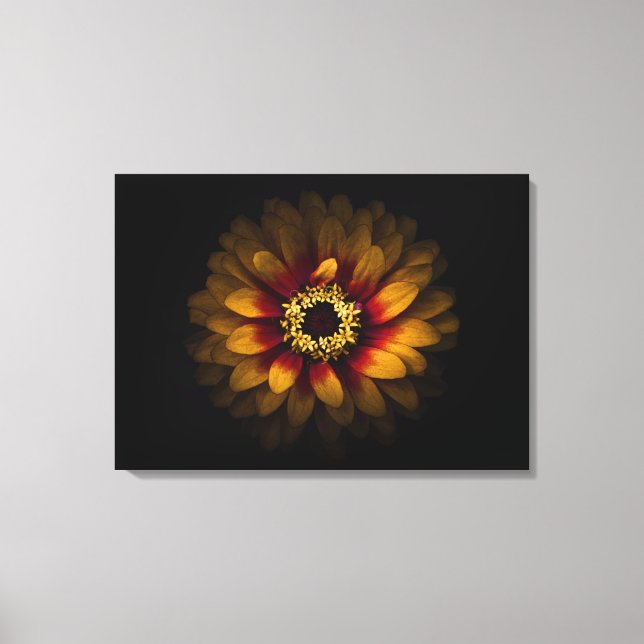 Backyard Flowers No 69 Colour Version Canvas Print (Front)