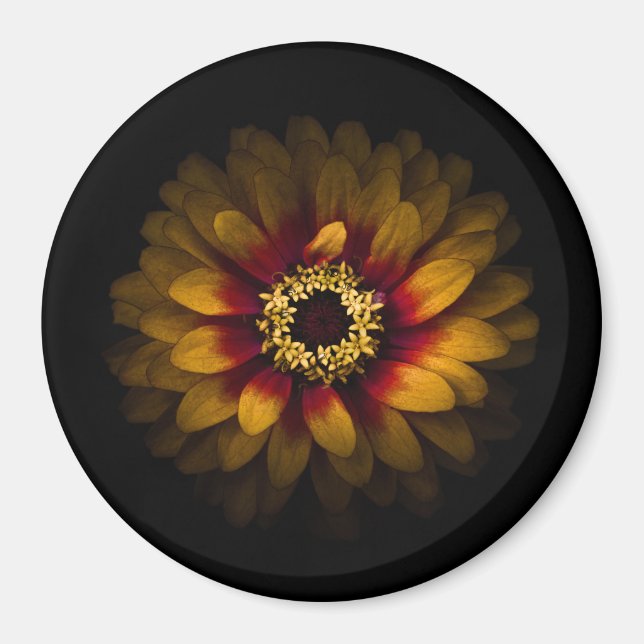 Backyard Flowers No 69 Colour Version Magnet (Front)