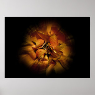 Backyard Flowers No 80 Color Flow Version Poster