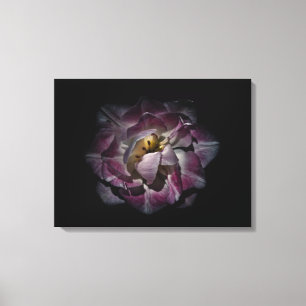 Backyard Flowers No 81 Colour Version Canvas Print