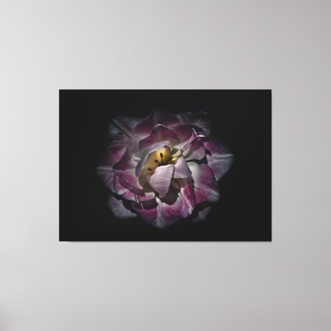 Backyard Flowers No 81 Colour Version Canvas Print (Front)