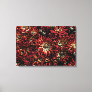Backyard Flowers No 88 Colour Version Canvas Print
