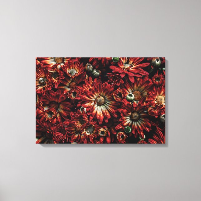 Backyard Flowers No 88 Colour Version Canvas Print (Front)