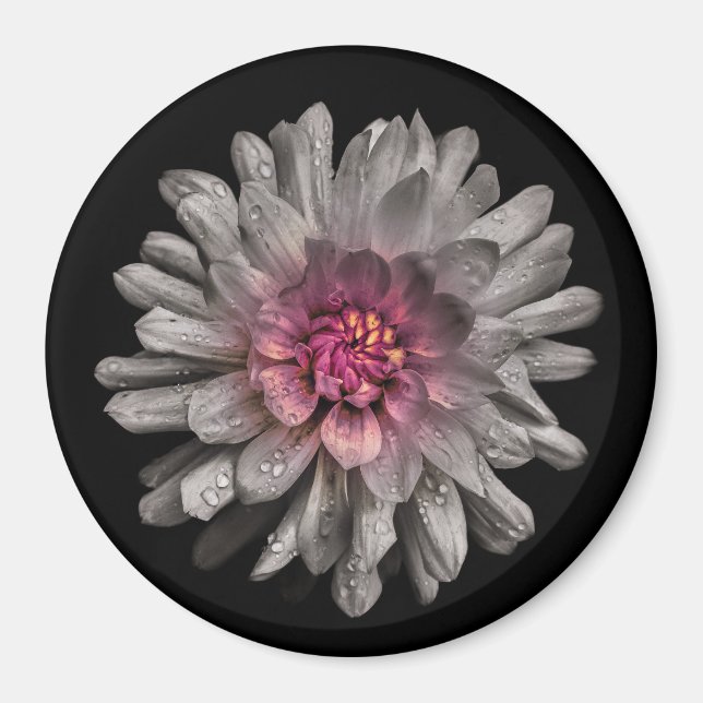Backyard Flowers No 91 Colour Version Magnet (Front)