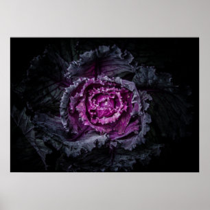 Backyard Flowers No 92 Colour Version Poster
