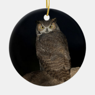 Backyard Great Horned Owl Ceramic Tree Decoration