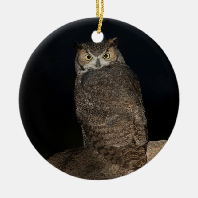 Backyard Great Horned Owl  Ceramic Tree Decoration (Front)