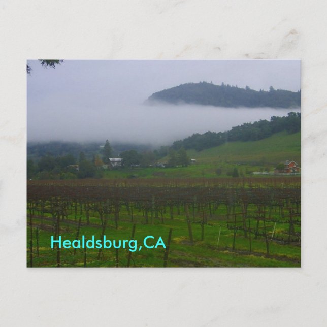 backyard, Healdsburg,CA Postcard (Front)