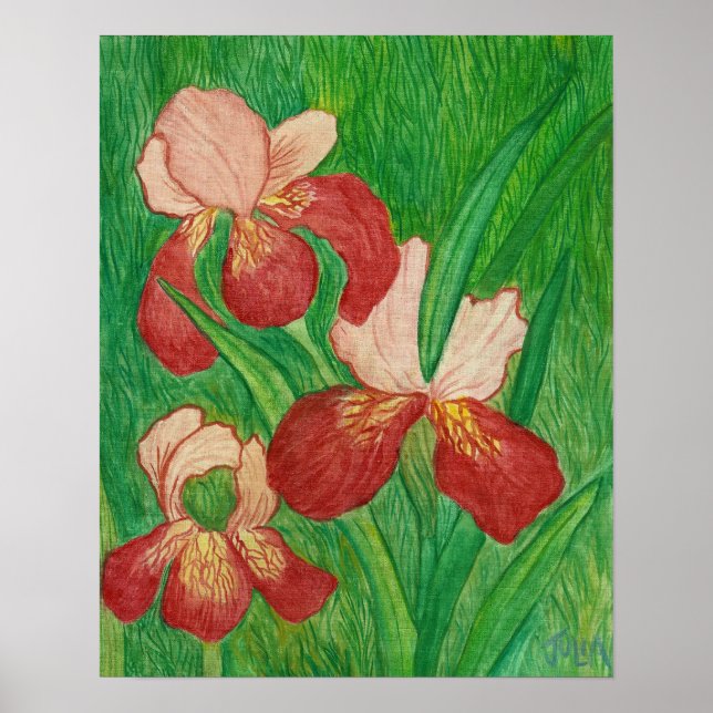 Backyard Iris Print (Front)