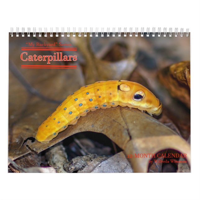 Backyard Series Caterpillars Calendar (Cover)