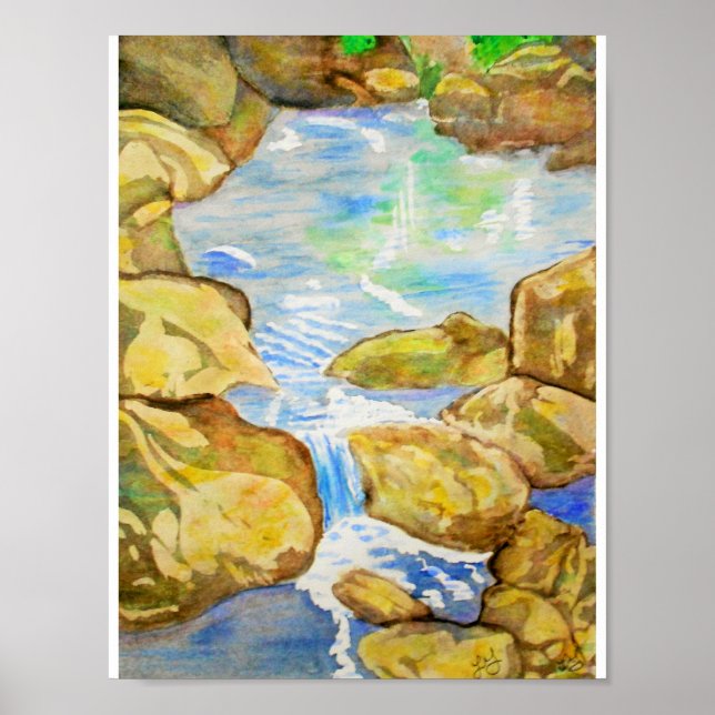 Backyard Stream Poster (Front)