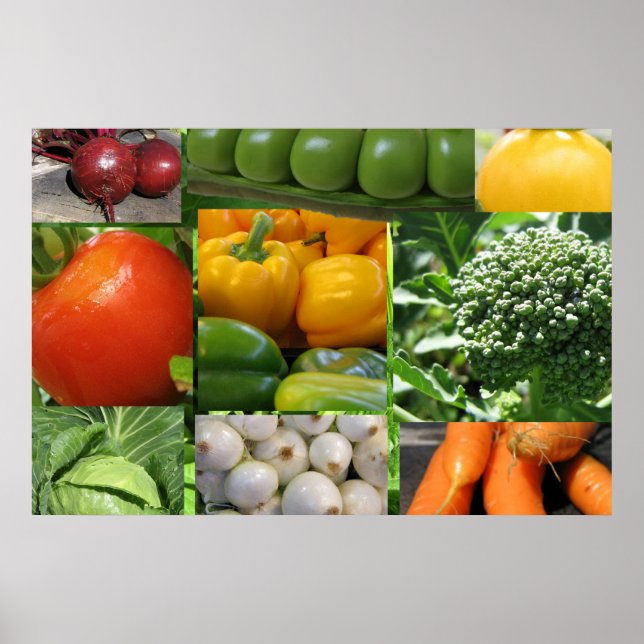 Backyard Vegetable Garden Poster (Front)