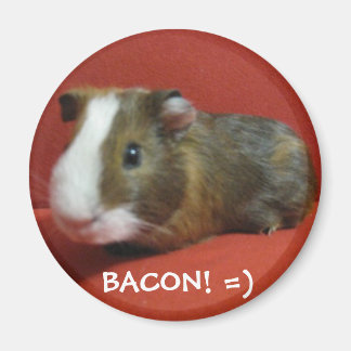 bacon, BACON! =) Magnet