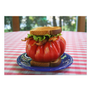Bacon, Lettuce and Giant Tomato Sandwich Photo Print