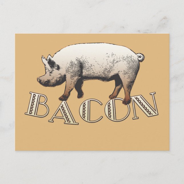 Bacon LOVE Postcard (Front)