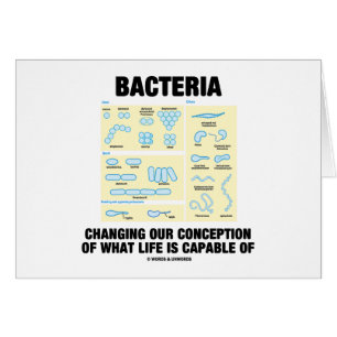 Bacteria Changing Our Conception What Life Is