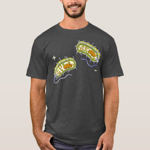 Bacteria Internal Structure Gram Positive and Gram T-Shirt