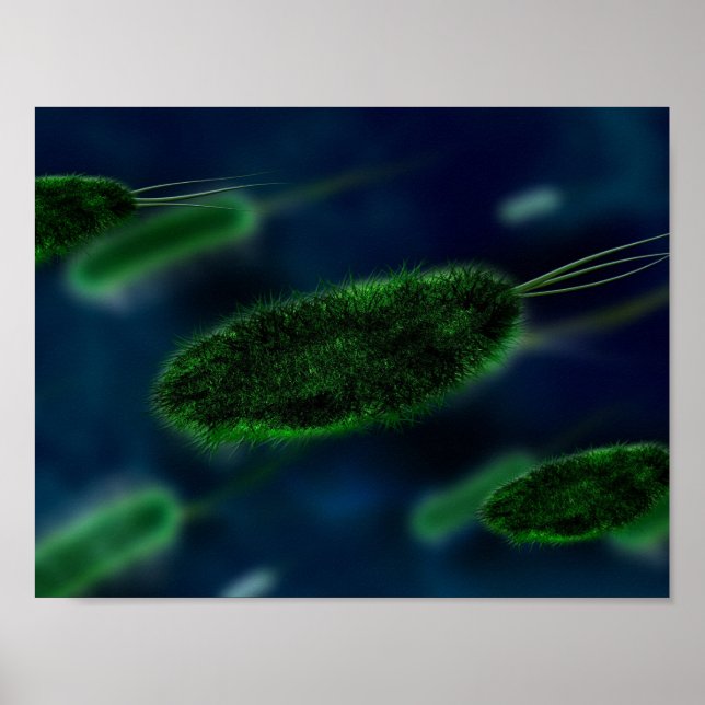 Bacteria Microbes Poster (Front)