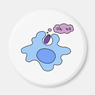 Bacteria Phagocytosis Magnet