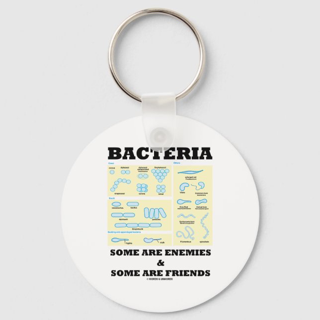 Bacteria Some Are Enemies & Some Are Friends Key Ring (Front)