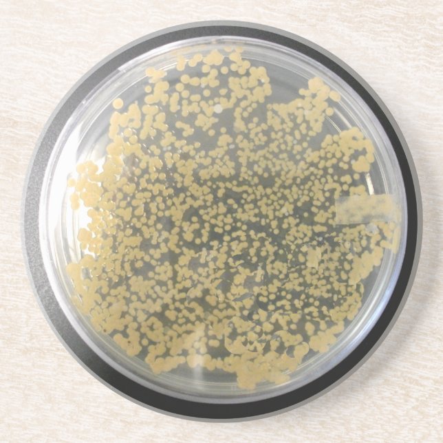 Bacterial Culture Plate, Bacteria Colonies Coaster (Front)